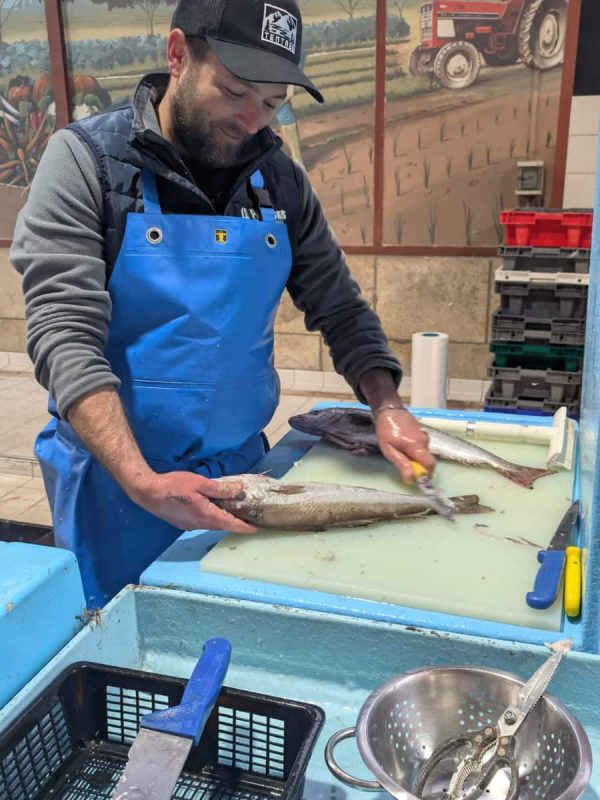 whatsapp image 2026 01 19 at 16.19.22